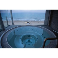 Переливной круглый спа бассейн USSPA Polo Переливной круглый спа бассейн USSPA Polo